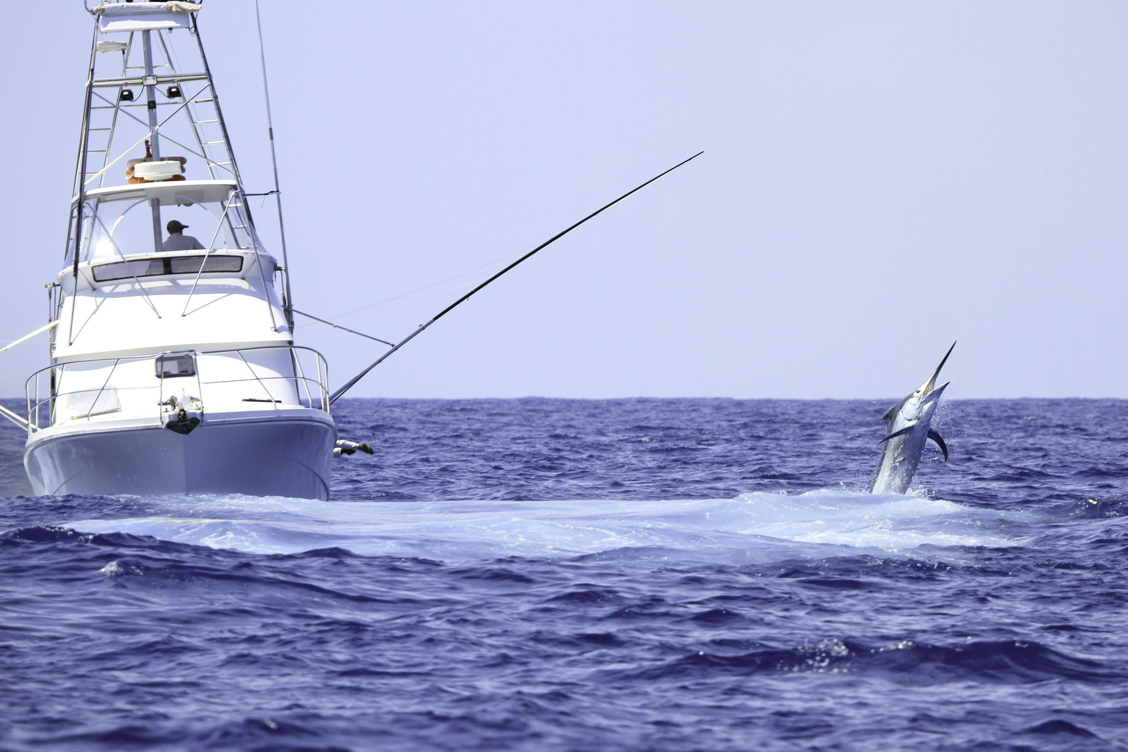 Find adventure with fishing charters on Boaters List